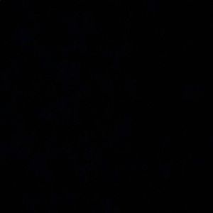 Meet your Posher, Griff